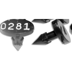 0031RG15C Marchamos PLASTICOS  jamones RG-15C