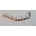0035B11 TACO TOPE PUERTA COCINA COLORES B11