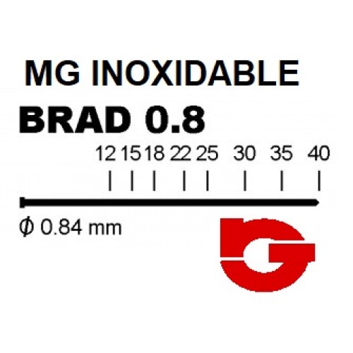 004108INOX CLAVO MG 08 INOX
