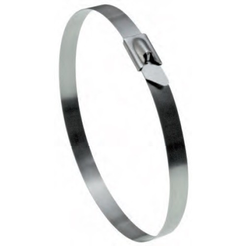 4100AFMXX BRIDA FLEJE ACERO INOXIDABLE 