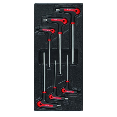 CLACH007B-F1TR12 BANDEJA 6 LLAVES T HEXAGONALES