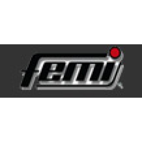 -  FEMI