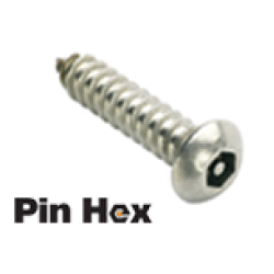 DTORSEG017 Tornillo de Seguridad Pin Hex
