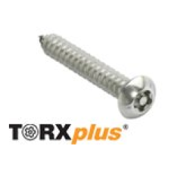 DTORSEG020 Tornillo de Seguridad Torxplus