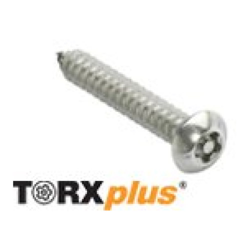 DTORSEG020 Tornillo de Seguridad Torxplus