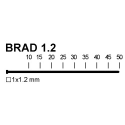 CLAPV12 BRAD GN 1.2  FUSION F-18