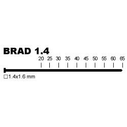 CLAPV14 BRAD FN 1.4