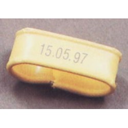 21CBS40NDP FECHADOR ESTAMPACION MAQUINA CLIP-BAND NEUMATICA 408PL